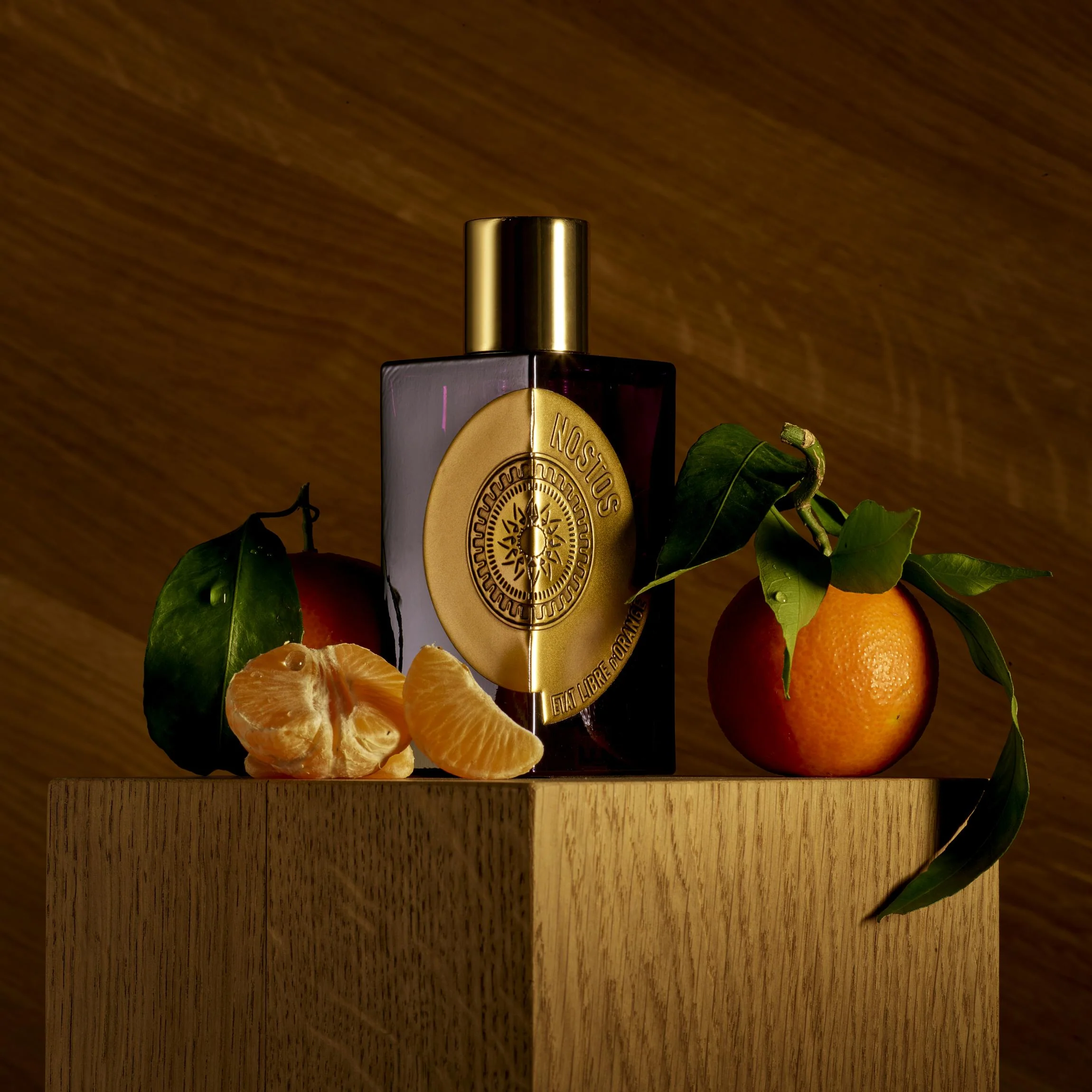 NOSTOS - Image 2