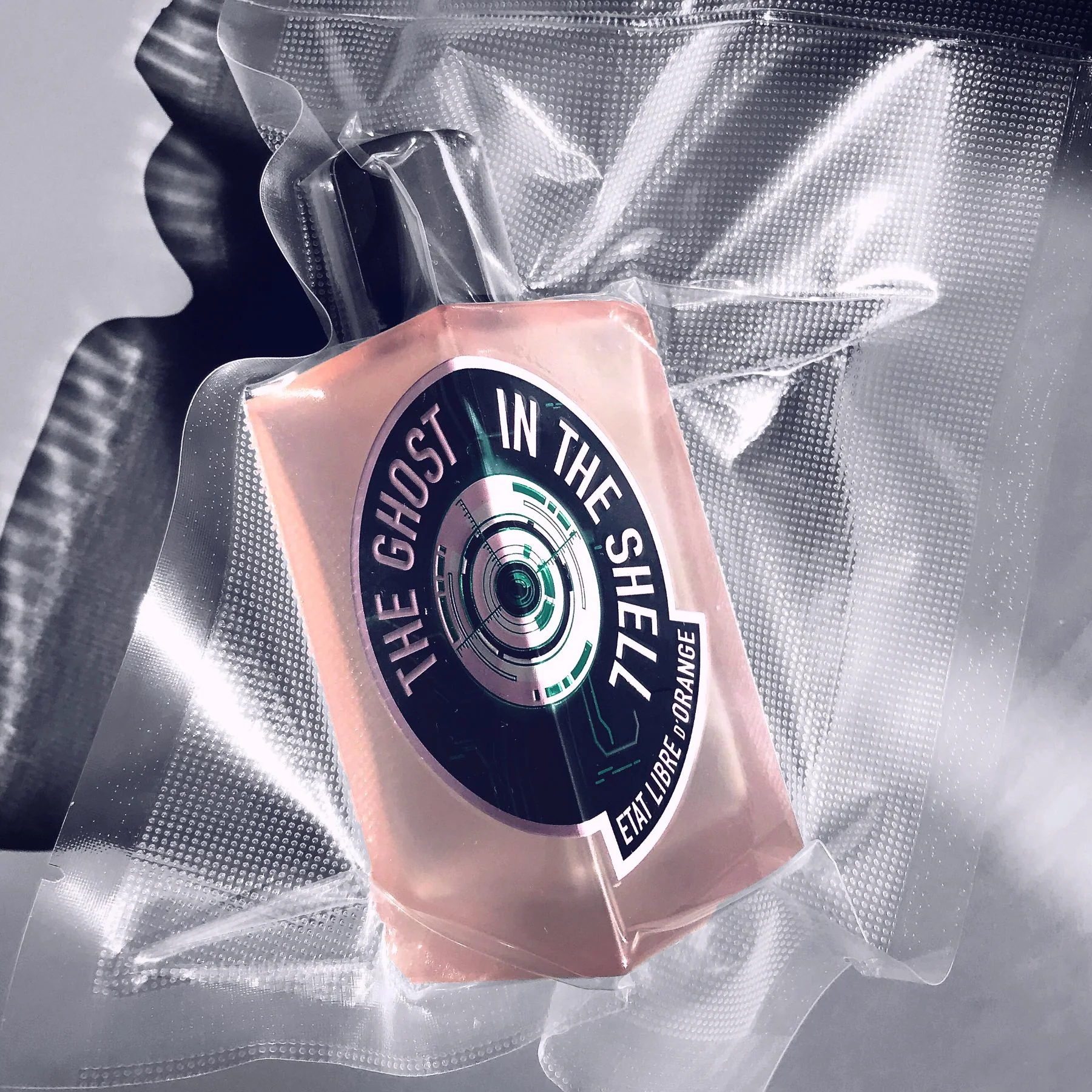 THE GHOST IN THE SHELL - Image 3